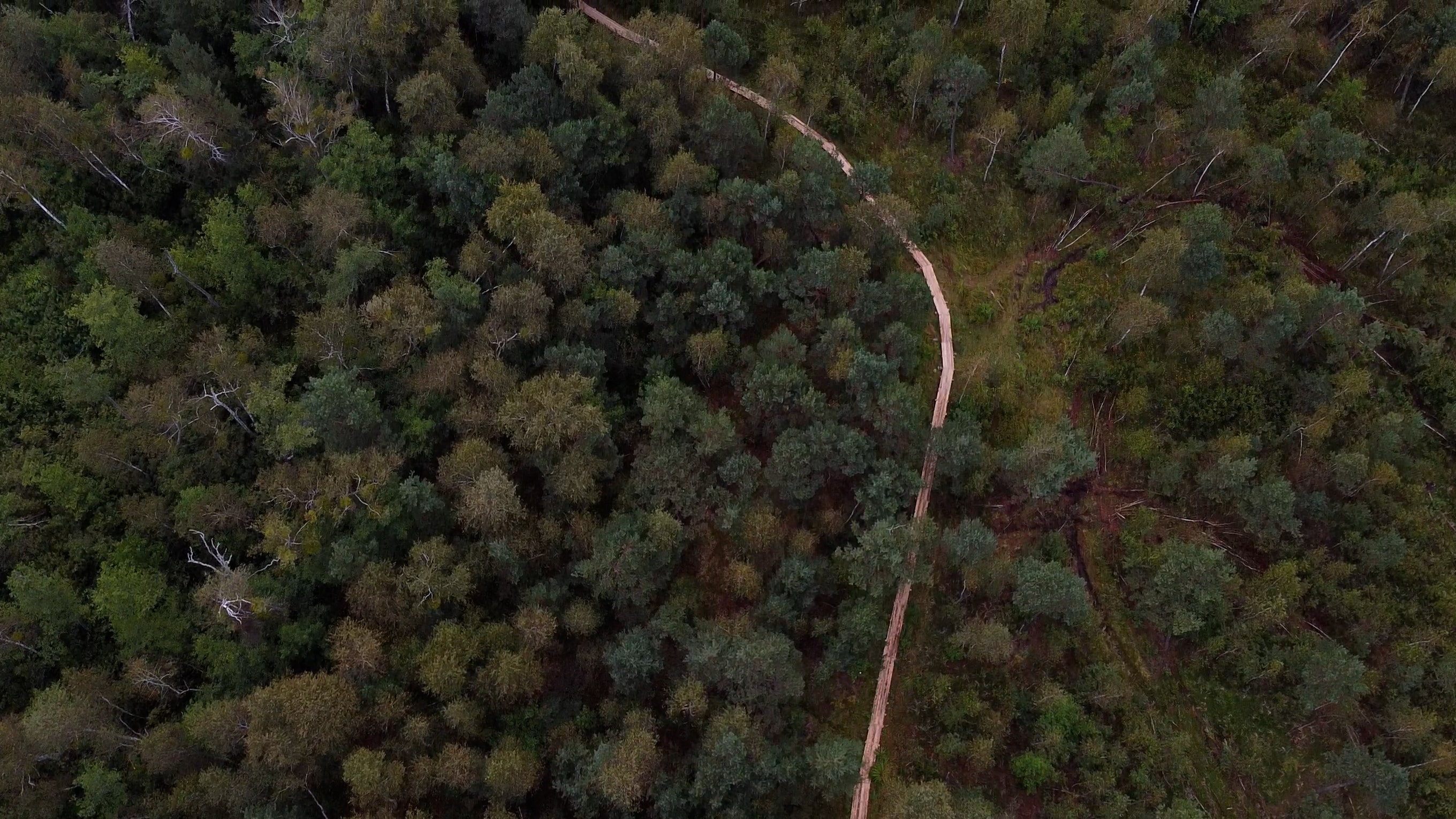 Ольманские болота, музей Полесья и вилла Льва