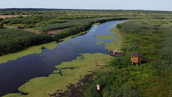 Музей народной архитектуры и быта в Строчицах
