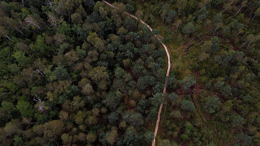 Ольманские болота, музей Полесья и вилла Льва