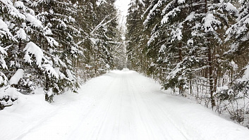 Музей народной архитектуры и быта в Строчицах